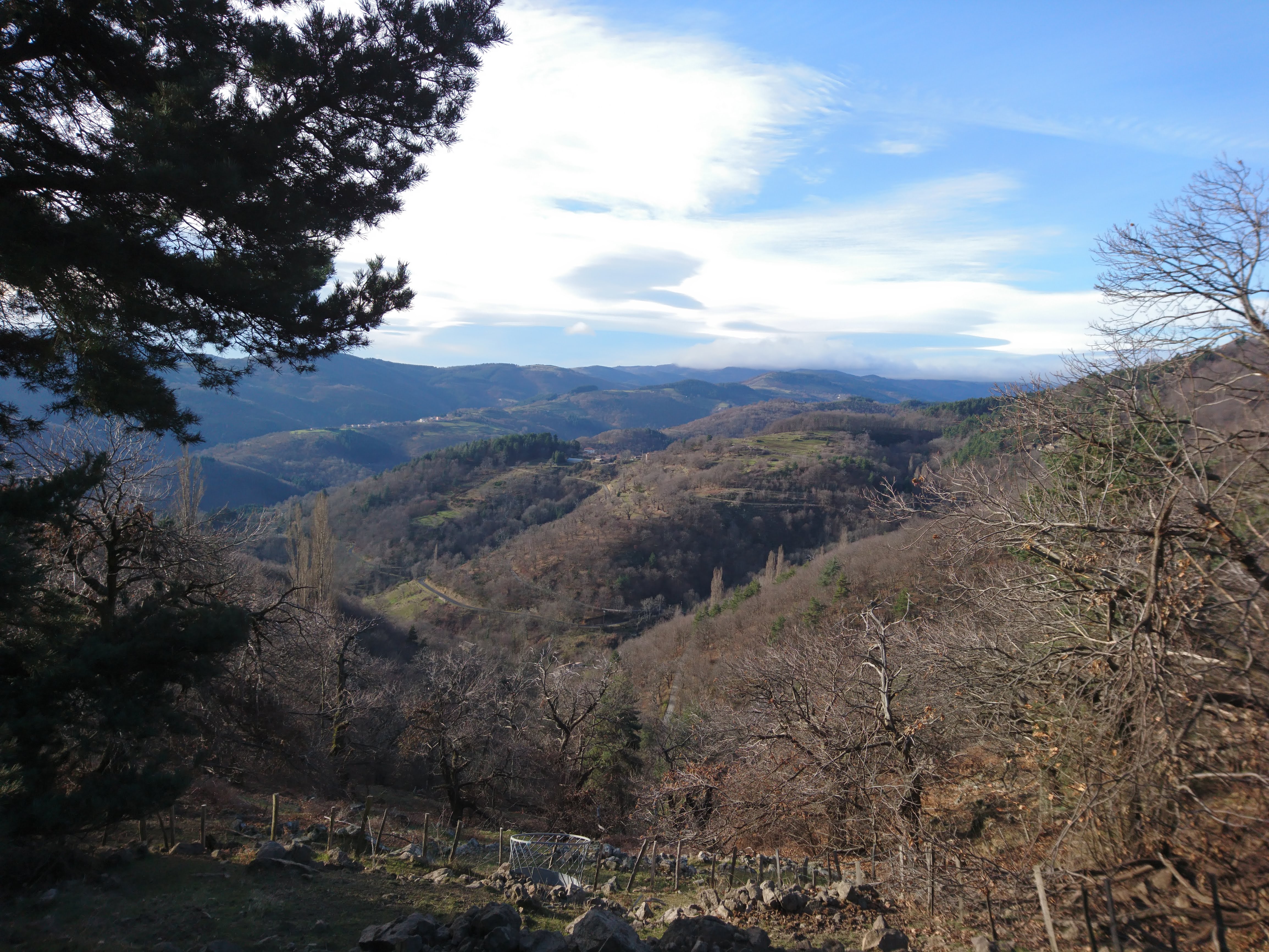 Photo n° 5 de l'avis de celia.t fait le 29/01/2019 à 11:23