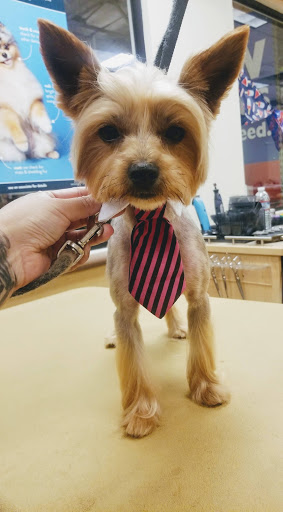 Pet Supply Store «PetSmart», reviews and photos, 2550 Cherry Ave, Signal Hill, CA 90755, USA