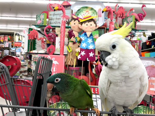 Pet Supply Store «Petco Animal Supplies», reviews and photos, 1015 Fording Island Rd, Bluffton, SC 29910, USA