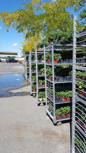 Home Improvement Store «The Home Depot», reviews and photos, 50 Traders Way, Salem, MA 01970, USA