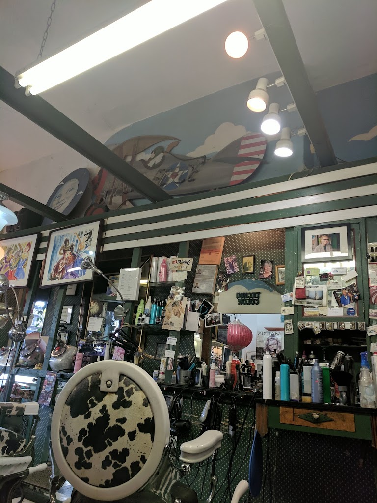 Electric Hair Salon 10301