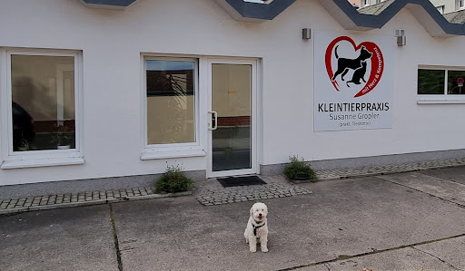 Tierarztpraxis Susanne Gropler unter Brandenburg, 