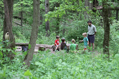 Little Schoolhouse in the Woods