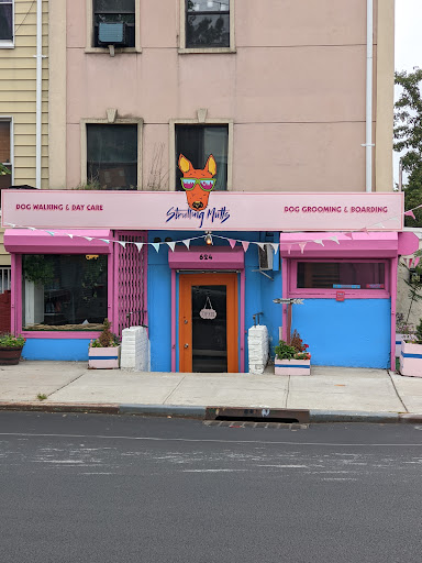 Strutting Mutts | Dog Walkers | Day Care