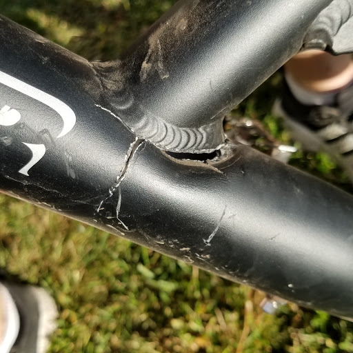 Bicycle Store «Bikes Direct», reviews and photos, 4624 Town Crossing Dr, Jacksonville, FL 32246, USA