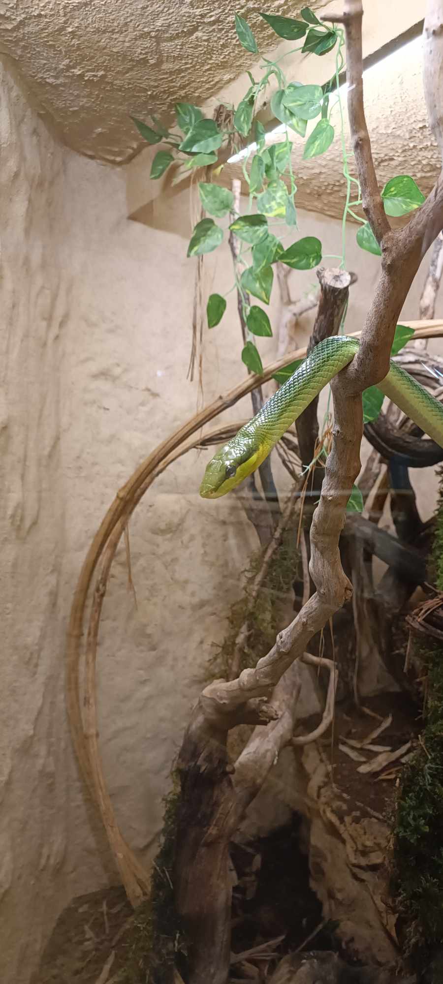 Photo n° 3 de l'avis de Aurore.i fait le 12/08/2023 à 08:58