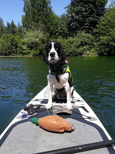Golf Club «Snoqualmie Falls Golf Course», reviews and photos, 35109 SE Fish Hatchery Rd, Fall City, WA 98024, USA