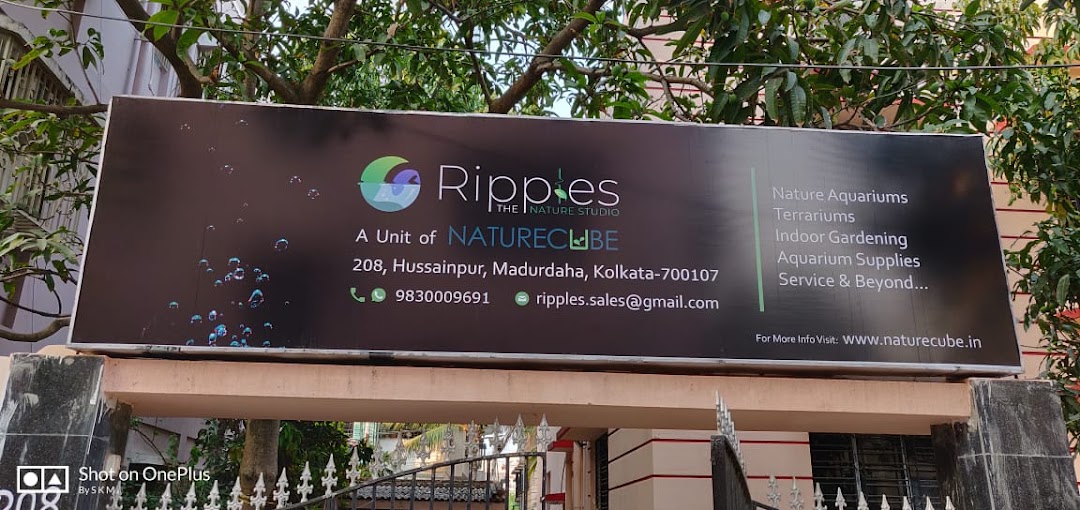 RIPPLES-Nature Inspired Aquarium