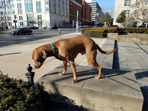Museum «U.S. Department of the Interior Museum», reviews and photos, 1849 C St NW, Washington, DC 20240, USA