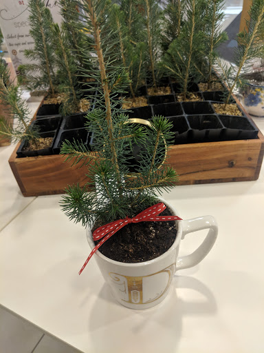 Department Store «Nordstrom Fashion Place», reviews and photos, 6191 S State St, Murray, UT 84107, USA