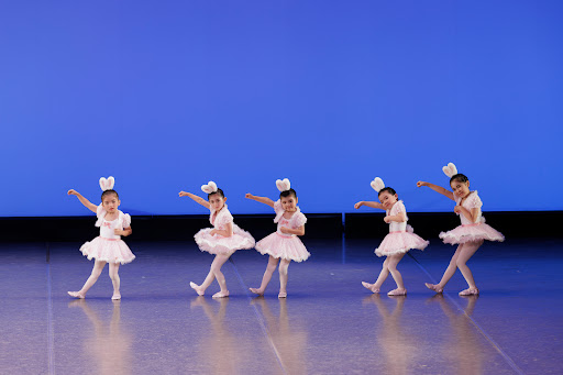 ダンススクール Nbaバレエ学校所沢駅前校