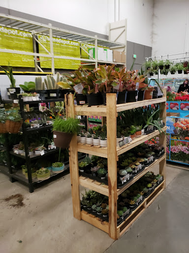 Home Improvement Store «The Home Depot», reviews and photos, 1000 Vision Dr, Apex, NC 27523, USA