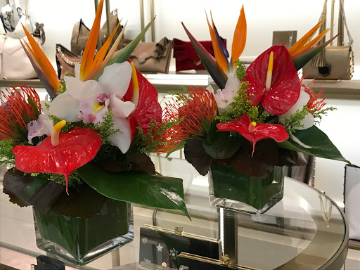 Florist «Abbott Florist», reviews and photos, 1008 71st St, Miami Beach, FL 33141, USA