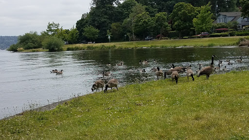 Park «Genesee Park and Playfield», reviews and photos, 4316 S Genesee St, Seattle, WA 98118, USA