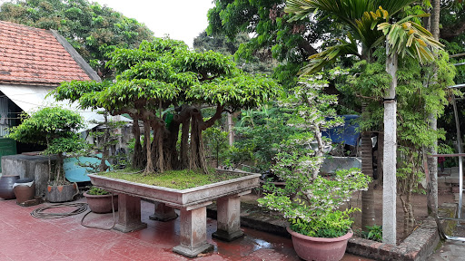 Nhà Vườn Ngọc Quang