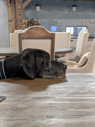 Arena «World Equestrian Center», reviews and photos, 4095 OH-730, Wilmington, OH 45177, USA