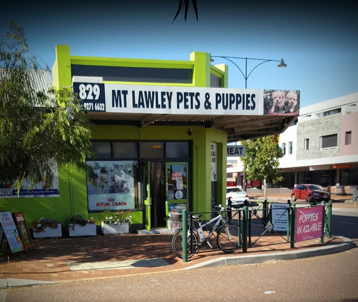 Mount Lawley Pets & Puppies