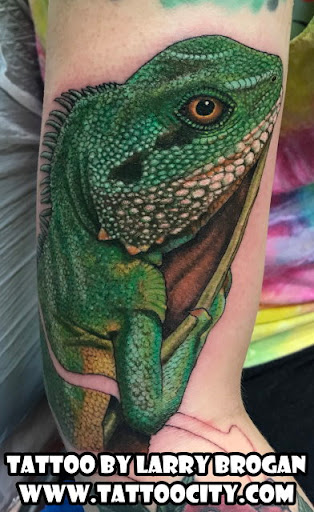 Explore survivor tattoo ideas, creative tattoo ideas in Lockport, available at Tattoo City by Larry Brogan