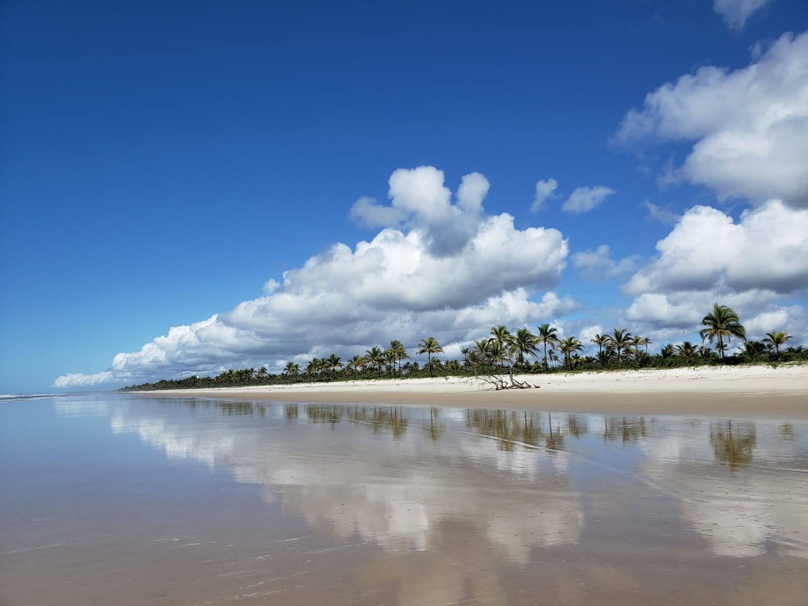 Praia da ilha de Comandatuba'in fotoğrafı çok temiz temizlik seviyesi ile