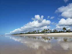 Praia da ilha de Comandatuba'in fotoğrafı çok temiz temizlik seviyesi ile
