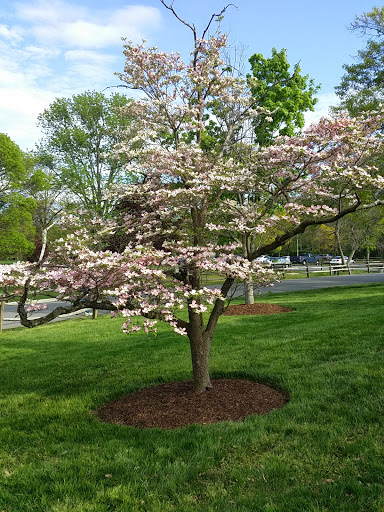 Museum «Fort Ward Museum & Historic Site», reviews and photos, 4301 W Braddock Rd, Alexandria, VA 22304, USA