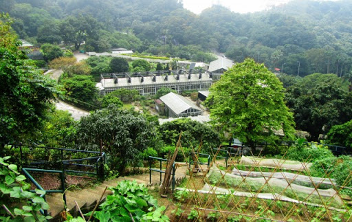 Farmhouses with animals Hong Kong