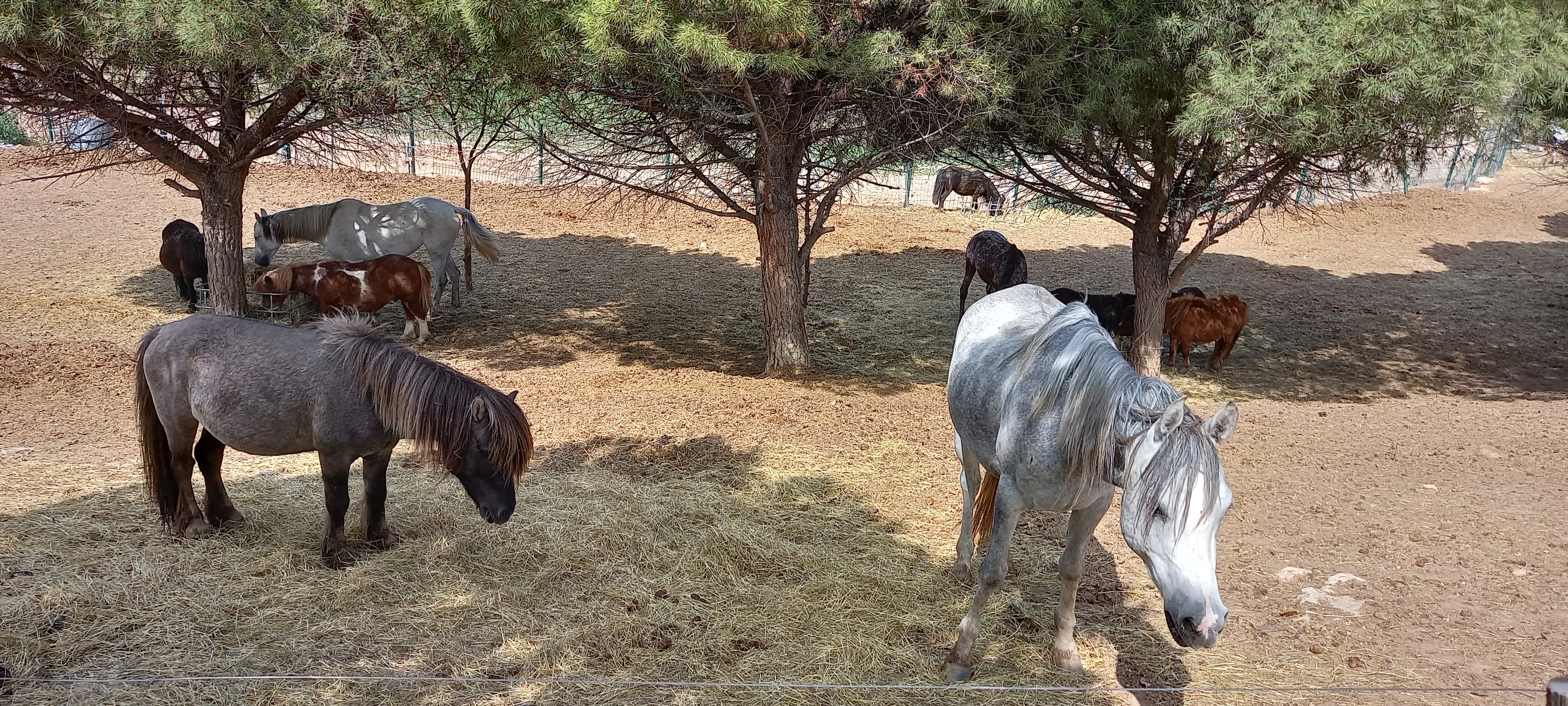 Photo n° 2 de l'avis de Robert.o fait le 26/05/2022 à 16:28