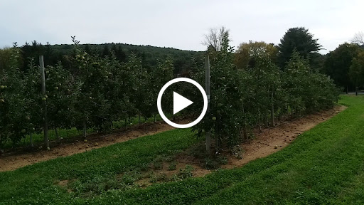 Produce Market «Parks Farms», reviews and photos, 525 NJ-24, Chester, NJ 07930, USA