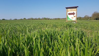 FERME DE L'ANFRENIERE à Saint-Mars-de-Coutais