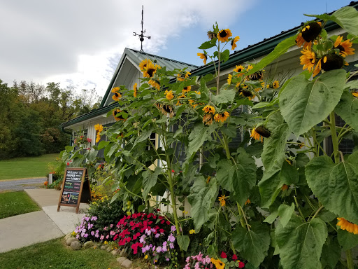 Winery «Hosmer Winery», reviews and photos, 7020 NY-89, Ovid, NY 14521, USA