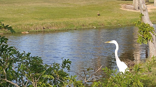 Golf Club «Turtle Creek Golf Club», reviews and photos, 1278 Admiralty Blvd, Rockledge, FL 32955, USA