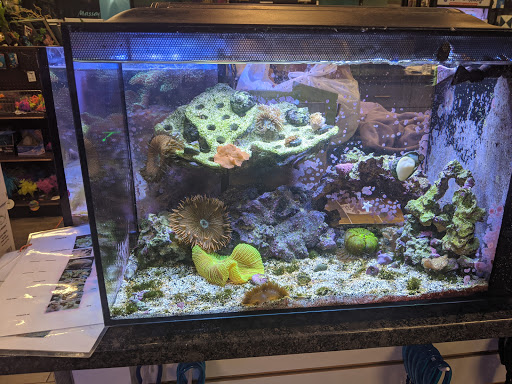 Tropical Fish Store «Aquatic Wildlife Co», reviews and photos, 70 Buckland Rd, South Windsor, CT 06074, USA