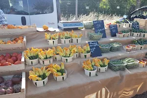 Marché agricole de Velleron image