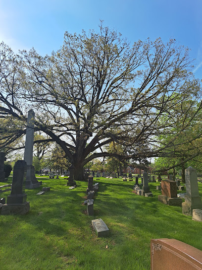Lutheran Cemetery Association