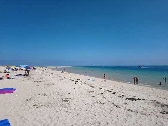 Ilha da Armona Mar