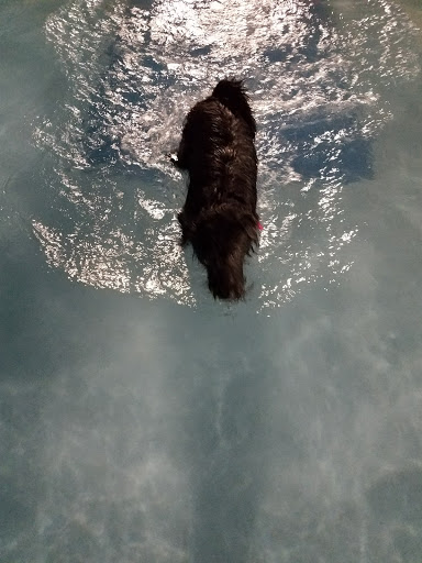 Water Park «Adventure Oasis Water Park», reviews and photos, 2100 Hub Dr, Independence, MO 64050, USA