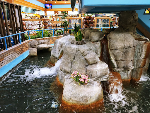 Clothing Store «Ron Jon Surf Shop», reviews and photos, 4151 N Atlantic Ave, Cocoa Beach, FL 32931, USA