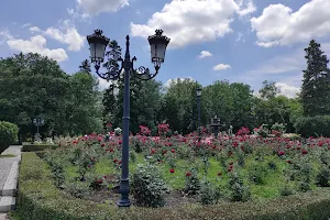 Rosarium in "Knyaz-Borisova Garden" image