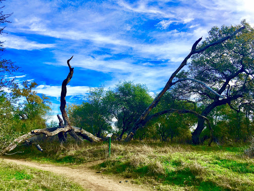 Nature Preserve «Effie Yeaw Nature Center», reviews and photos, 2850 San Lorenzo Way, Carmichael, CA 95608, USA