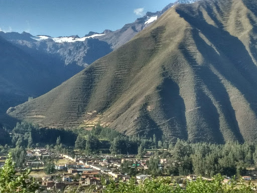 La casa del Árbol Cusco