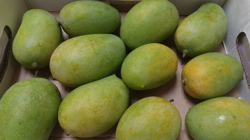 Indian Grocery Store «EZ Indian Grocery Store», reviews and photos, 12 Walnut St, Woburn, MA 01801, USA