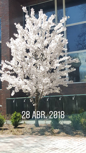 Liquor Store «Quality Liquors», reviews and photos, 489 Cambridge St, Allston, MA 02134, USA