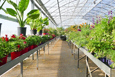 Jardinerie Horticat à Chaumes-en-Retz
