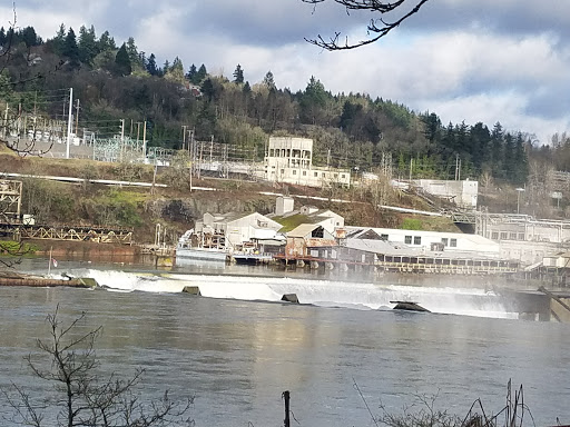 Park «Old Canemah Park», reviews and photos, South End Rd, Oregon City, OR 97045, USA