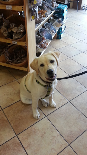 Pet Supply Store «Pet Food Gone Wild», reviews and photos, 2415 Southern Blvd SE, Rio Rancho, NM 87124, USA