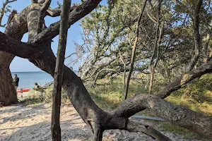 Springer's Point Preserve image