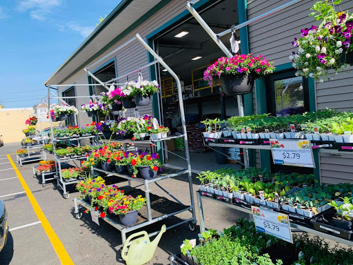 Home Improvement Store «Paradis True Value Hardware», reviews and photos, 31 Holland Ave, Bar Harbor, ME 04609, USA