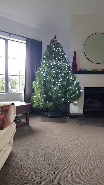 Waikato Christmas Trees