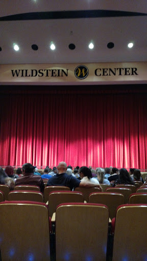 Performing Arts Theater «Alan Jay Wildstein Center for the Performing Arts», reviews and photos, 600 W College Dr, Avon Park, FL 33825, USA
