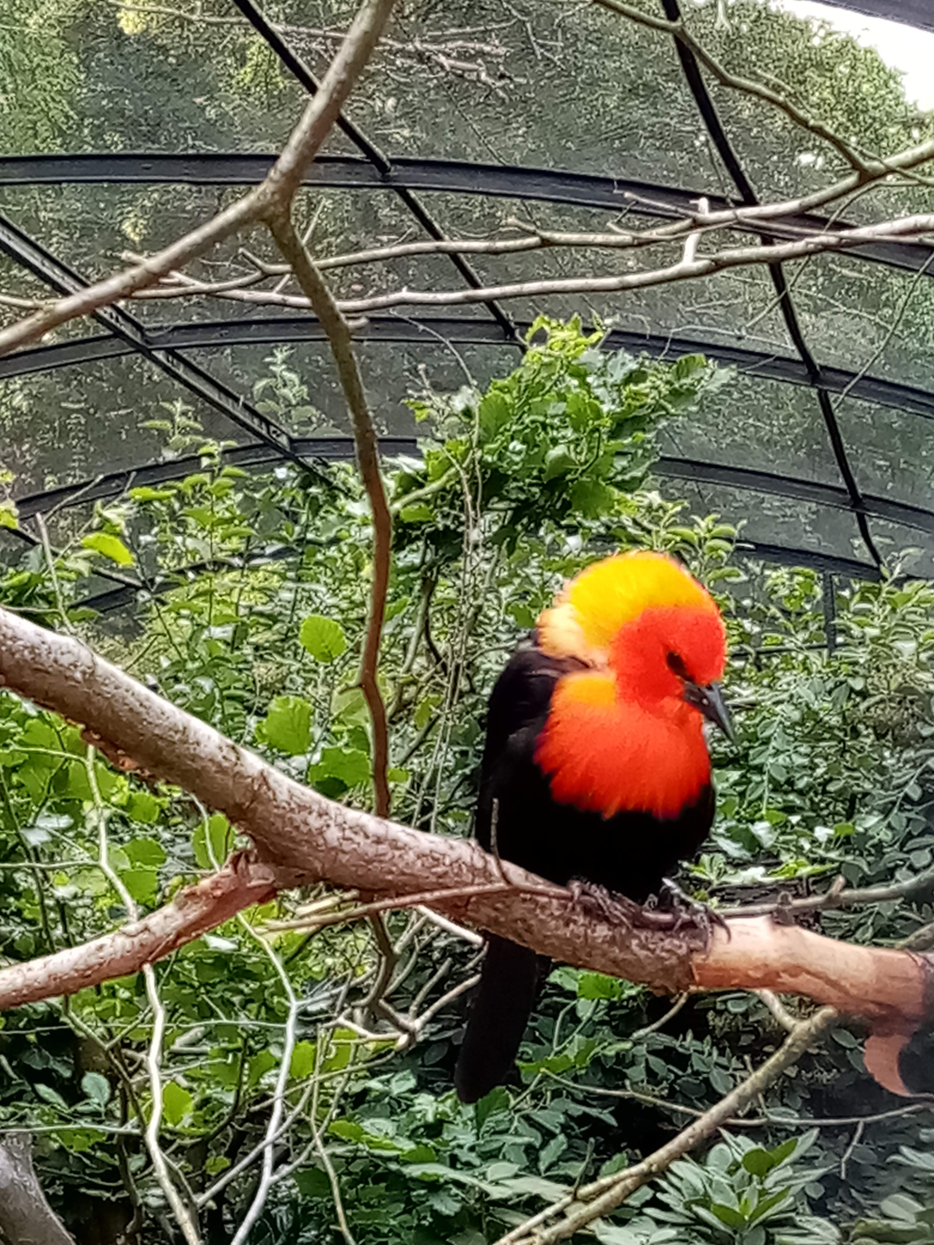 Photo n° 5 de l'avis de Marielaure.a fait le 25/07/2023 à 19:08